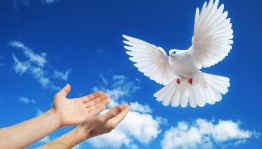 Выставка рисунков «Мир без террора»