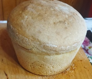 «Хлеб всему голова»