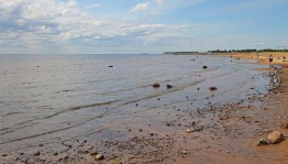 Экологическая акция «Друзья природы»