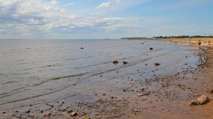 Экологическая акция «Друзья природы»