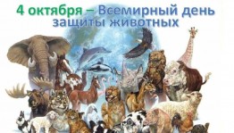 «Братья наши меньшие»эко час