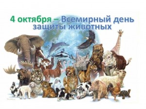 «Братья наши меньшие»эко час