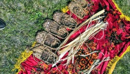 «Эх лапти мои»