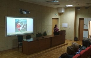 В Уфе состоялось обучение преподавателей истории искусств
