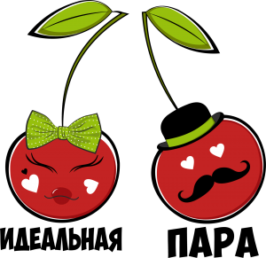 Игровая программа «Идеальная пара»