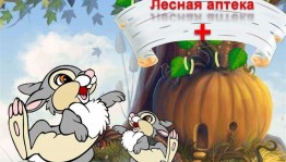 Мероприятие «Лесная аптека»