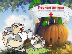 Мероприятие «Лесная аптека»