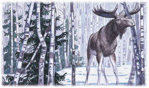 Литературное чтение «Весна - художник»