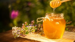 Тематическая программа «Мёд – природный целитель»