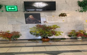 Фотозона «Аксаковская осень»