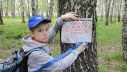 Экологический час«Они такие разные,бывают и опасные»
