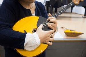 Мастер-класс «Домра - В.Андреев «Возрождение истории»»