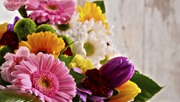 «С праздником,дорогие учителя!»