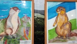 Сурок-байбак символ Бижбулякского района