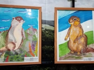 Сурок-байбак символ Бижбулякского района