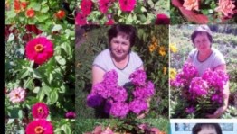 «День поливания цветов»