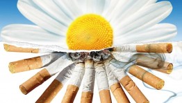 Информационный урок «Выбери жизнь без табачного дыма» к Международному дню отказа от курения