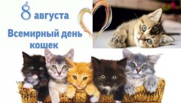 конкурс рисунков «Моя любимая кошка»