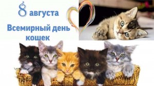 конкурс рисунков «Моя любимая кошка»