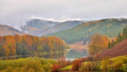 Праздничный концерт «Моя Республика»