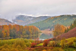 Праздничный концерт «Моя Республика»