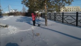 Акция «Кормушка для птиц»