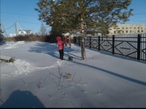 Акция «Кормушка для птиц»