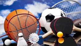 Спортивная программа «В мире спорта»