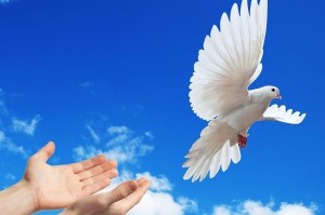 Всероссийская акция «Голубь мира».