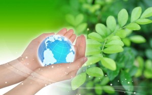 Экологический урок «Чистая экология –здоровая жизнь»