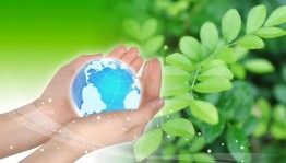 Экологический урок «Чистая экология –здоровая жизнь»