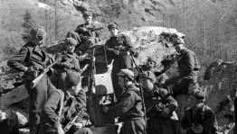 Исторический экскурс «Живая память: битва за Кавказ»