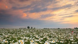 Беседа «Осторожно: ЛЕТО»