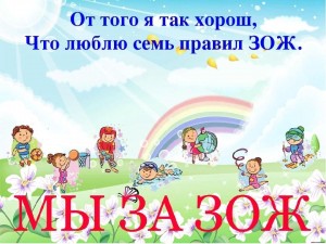 «МЫ ЗА ЗОЖ»