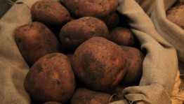 Праздник «В гости -картошка!»