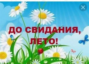 Игровая программа«До свидания,лето!»
