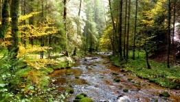 Экскурсия «Красота родного края»