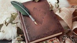 Программа «У Лукоморья»