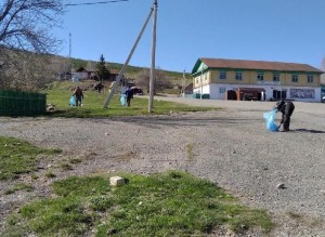 Экологический субботник «Чистое село»