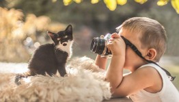 «Четвероногие друзья». Фотоконкурс