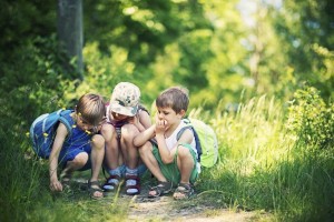 Летняя эко-прогулка «Наш кулькистан»