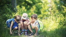 Летняя эко-прогулка «Наш кулькистан»