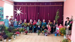 Программа «Разноцветная вспышка»