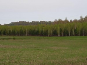 «Сохраним природу вместе»