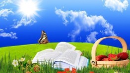 Литературные прятки «Цветная книга лета»