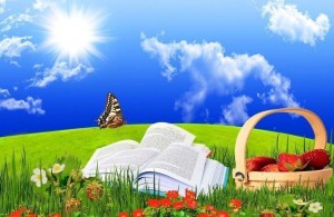 Литературные прятки «Цветная книга лета»