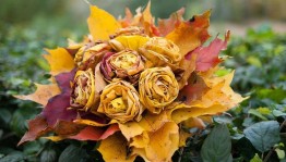 Мастер–класс «Осенние поделки»