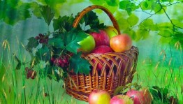 Праздник «Лето яблоко румянит»