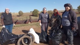 Акция «Чистое село»