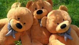 Игровая программа «Плюшевые »